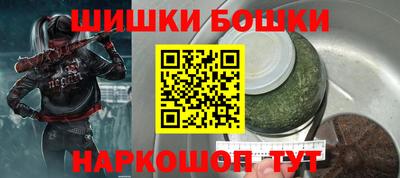 молекула духа Будённовск