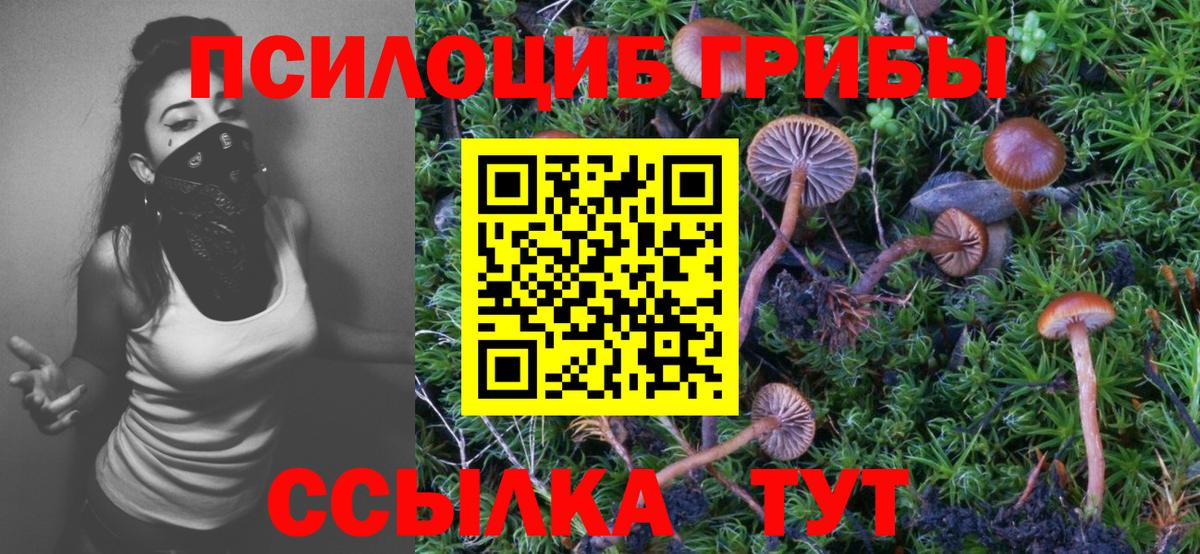 Псилоцибиновые грибы мухоморы  Вход с VPN  Снежинск 