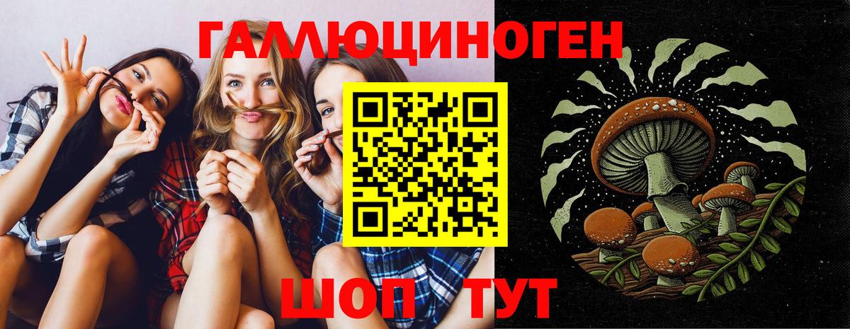 Псилоцибиновые грибы Cubensis Снежинск